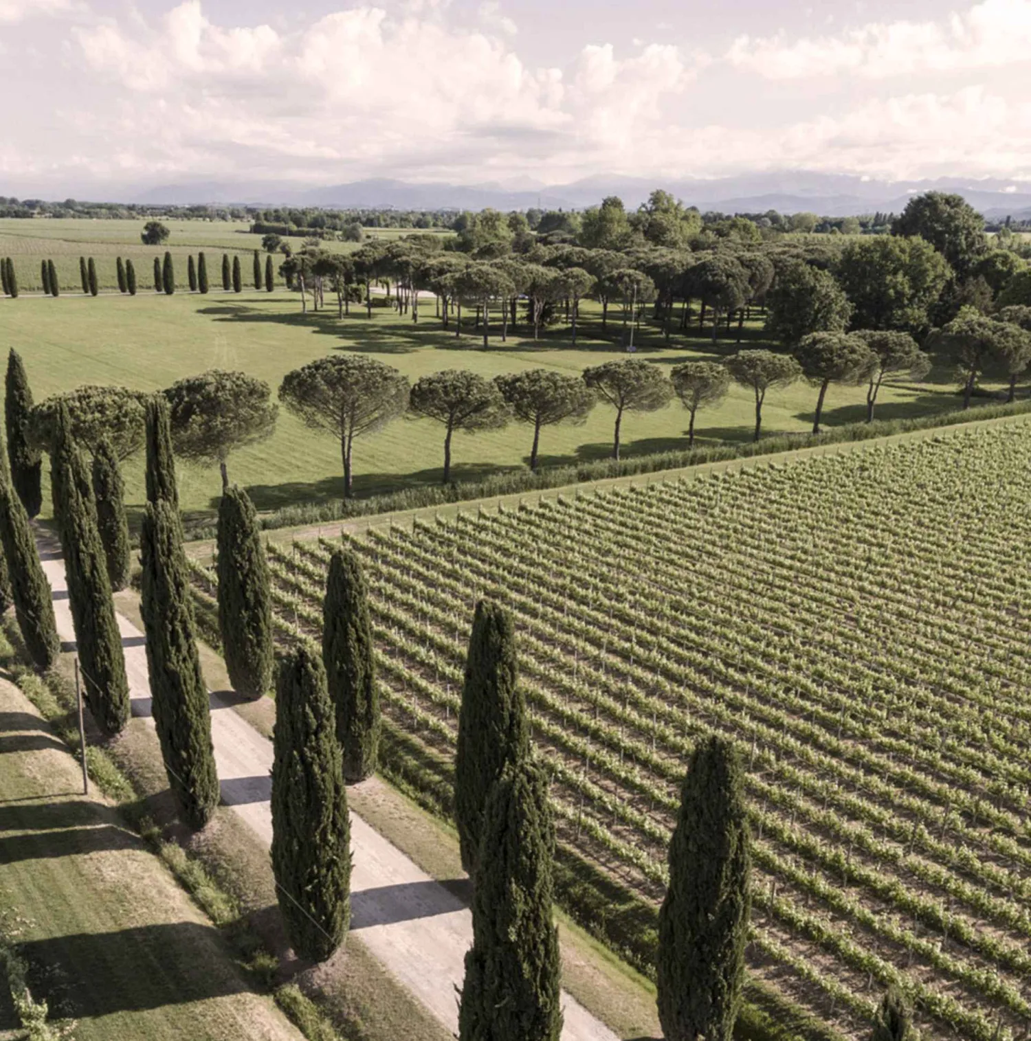 Ca’ Bolani, Friuli Venezia Giulia