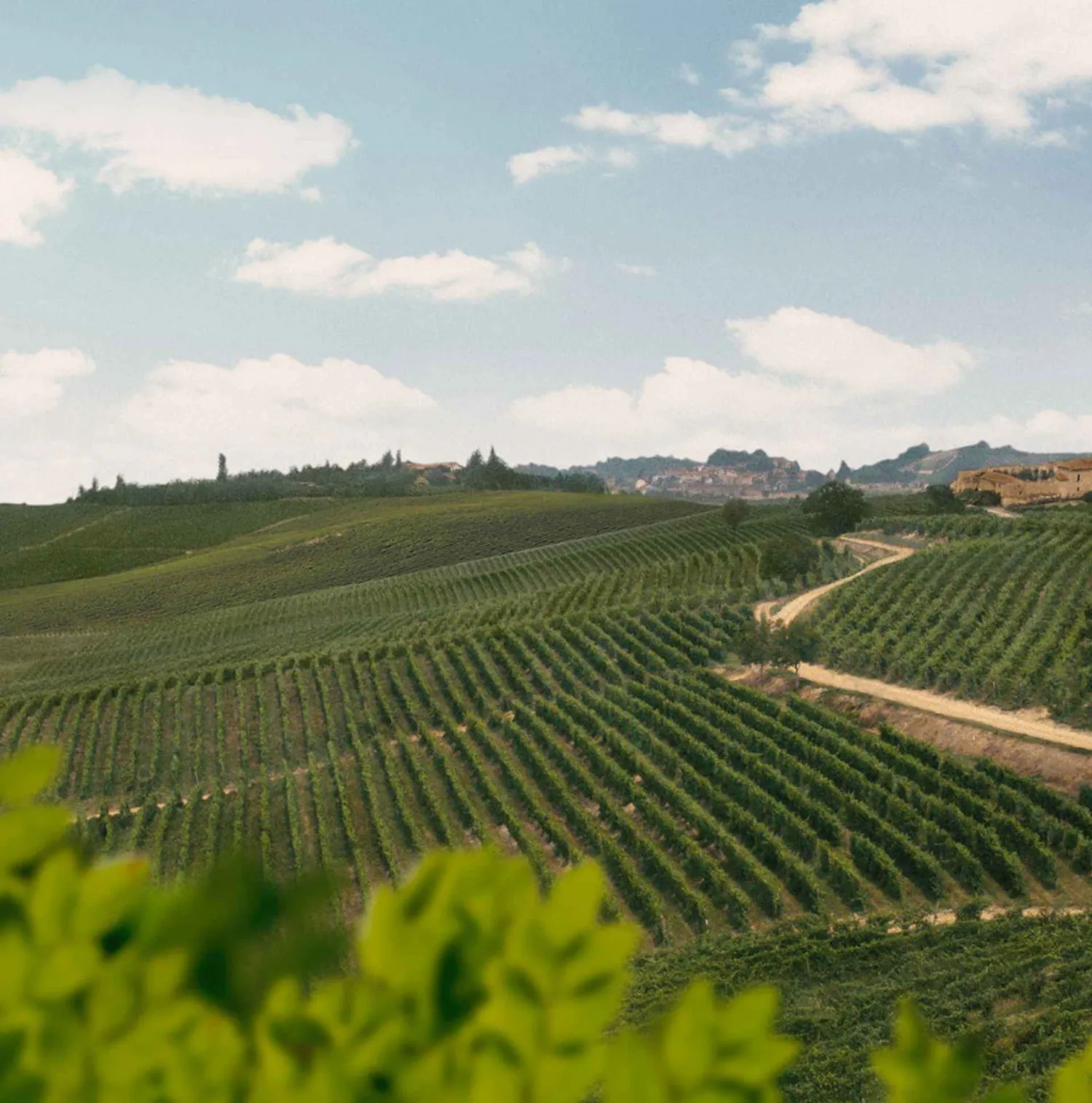 Poggio Le Coste, Piedmont